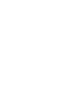 ZuiderVeenRP Logo